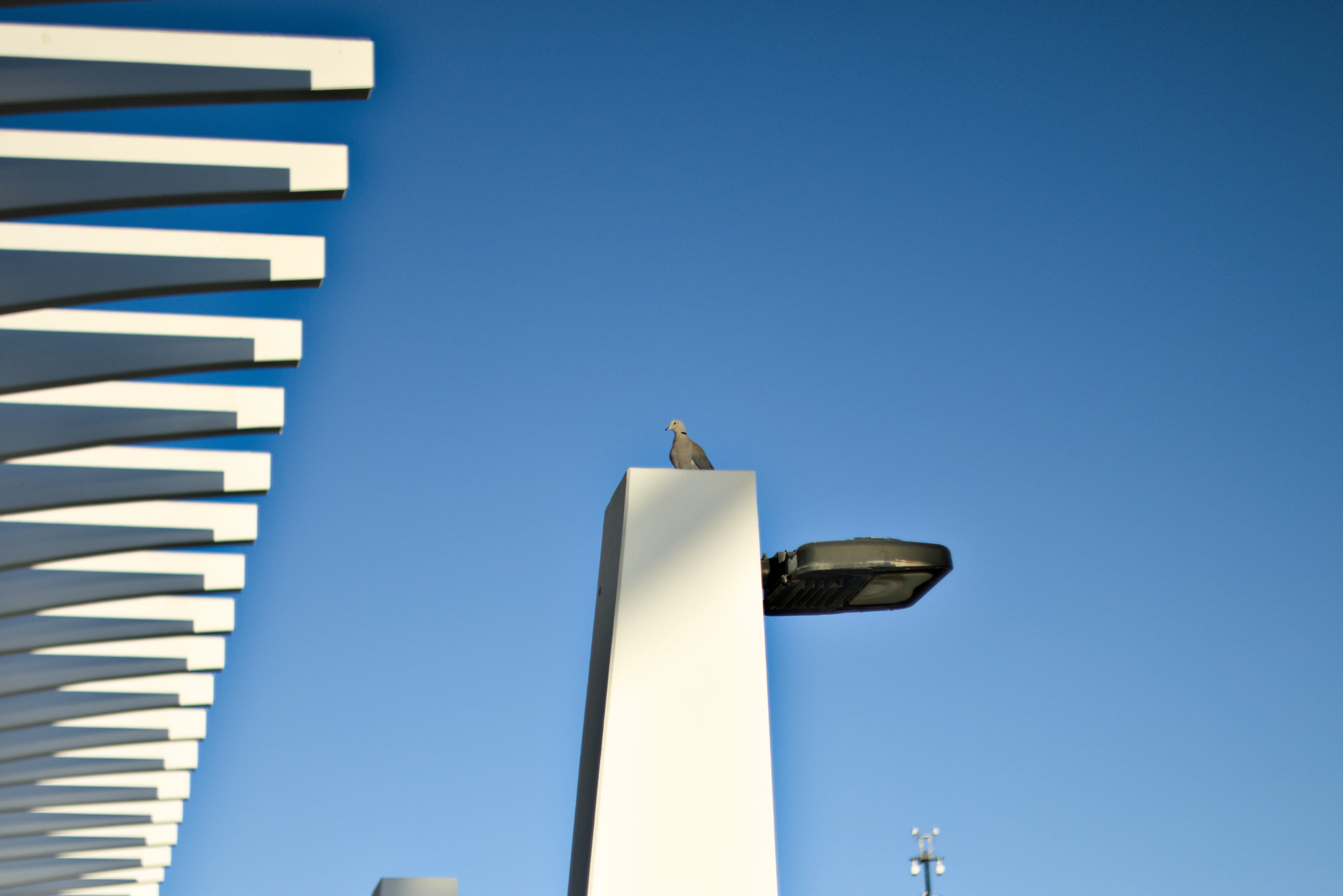 Zenith Helios-77M-4 1,850 (VOMZ) - _I4A5612.webp